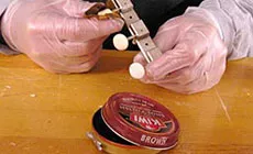 Tinción del clavijeros