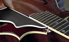 Coloque el protector de recogida