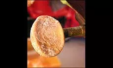 Sustitución de las perillas del sintonizador dañadas