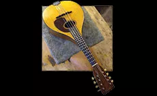 Trasplante de sintonizador terminado