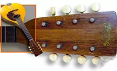 trasplante de sintonizador inusual