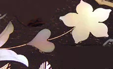 Incrustación lista para grabar