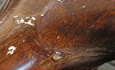 Resultados iniciales