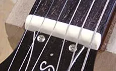 Foto: tuerca para hueso de perro