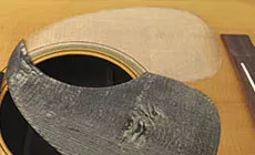 Extracción del protector de recogida