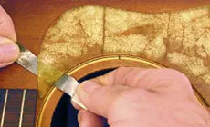 Protector de recogida problemático