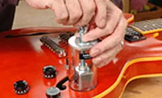 Extractor de perilla