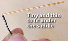 Foto: Fishman Thinline