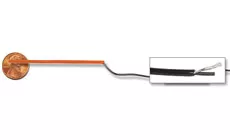 Foto: Fishman Thinline