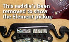 Foto: Elemento de bolsas L.R.