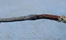 Aislamiento de tela reparado