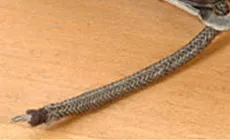 Humbucker con cuchillos