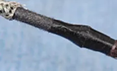 Cables de cubierta de cinta de recogida