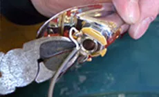 ¡Salga con lo viejo!