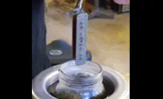 Envasado de un pastilla