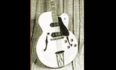 Es-350t-guitar