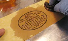 Caparazón de Platina