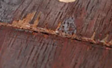 Chips malos medianos