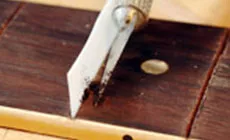 Empacar polvo en el chip