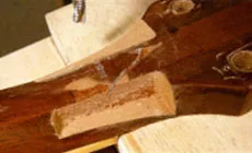 Sujeción de formas irregulares