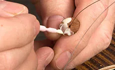 Aplique pegamento a la cala