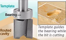 Detalle de plantilla