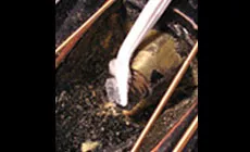 Spencer con cepillo de cable