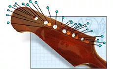 ¡Demasiados orificios para una pala!