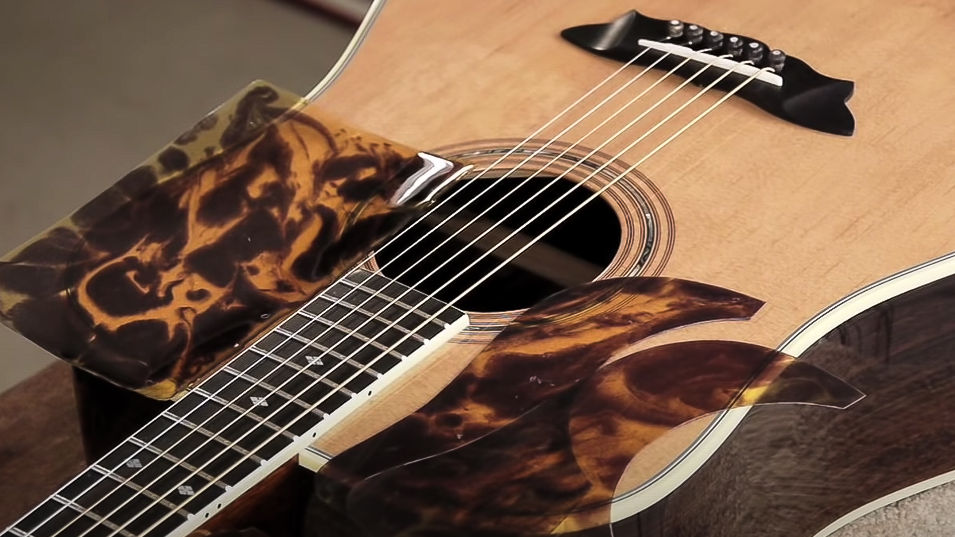 Material del protector de recogida de tortoloide