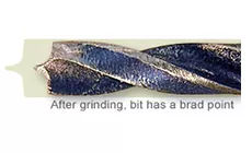 Brocas comparadas después