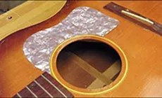 Nuevo protector de recogida