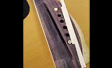 Hueso silleta en bruto