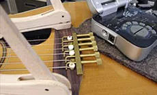 Sintonizador Peterson